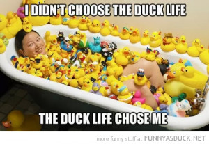 Birthday Funny Duck Pictures