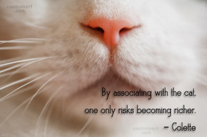 Cats Quote: By associating with the cat, one only...
