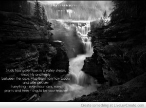 waterfall_picture_quote-386027.jpg?i