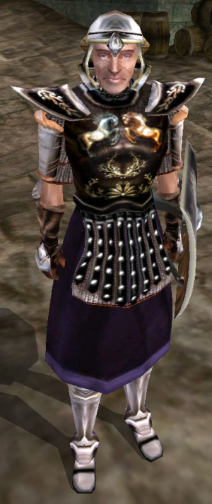 member of the Imperial Guard as seen in The Elder Scrolls III ...