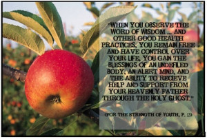 Word of wisdom promise