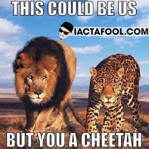 This Could Be Us But You A Cheetah
