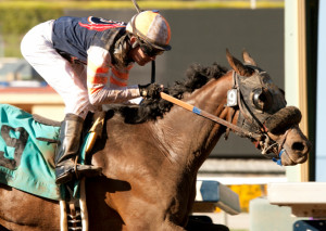 EVENING JEWEL STAKES QUOTES - Santa Anita Park