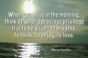 Marcus Aurelius - When you arise in the morning think of what a ...