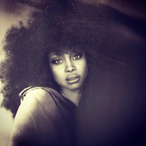 natural hair Erykah Badu