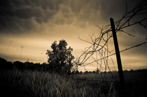 Barb Wire Fence Before Storm