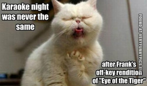 Funny Picture - Karaoke night was never the same - Cat karaoke