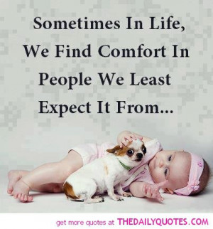 cute-baby-puppy-pic-life-quotes-pictures-sayings-pics.jpg