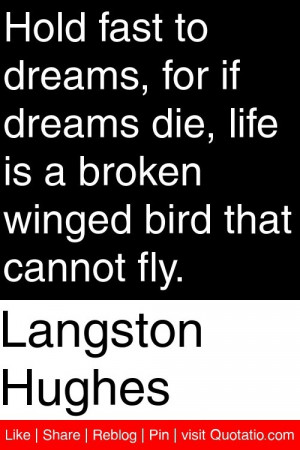 Funny Quotes Contact Us DMCA Notice