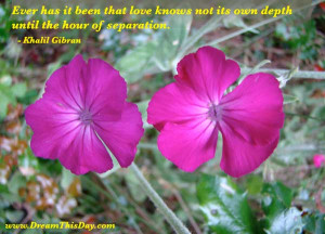 ... it been that love knows not its own depth until the hour of separation