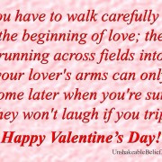 Valentines Day Quotes About...