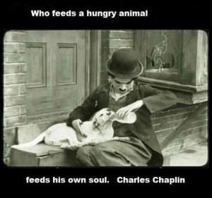 HELPING ANIMALS! SAVING ANIMALS FROM ABUSE, NEGLECT, PUPPY FARMS, ETC.