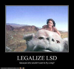 Legalize LSD fly drug dog funny poster
