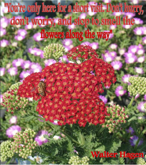 Power Flowers Gardening Quote by Walter Hagen