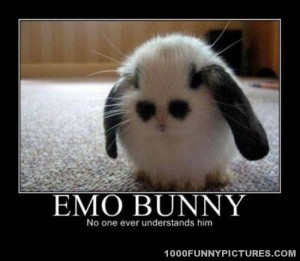 Demotivational Poster Steroids