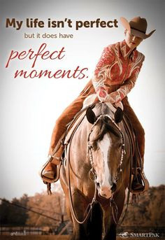 quote more horseback riding perfect hors horses equestrian quotes ...