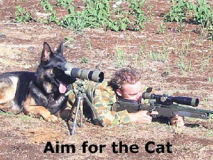 sniper dog military humor funny 1 sniper dog military humor funny 2 ...
