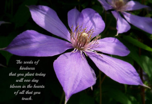 ... You Plant Today Will One Day Bloom In The Hearts Of All That You Touch