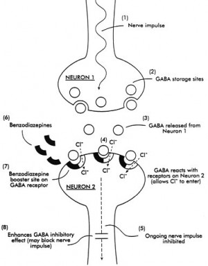 Action of Benzodiazepines at a synapse