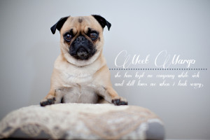 Cuddle Buddy Application Cuddle Buddy Quotes Cuddle Buddy Wanted ...