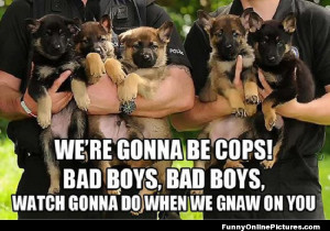 Future cop dogs!