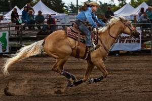 rodeo western ranch cowboy cowgirl farm show performance equine horse ...