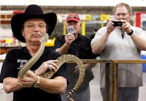 Two men take pictures of Joe Martin handling a 5-foot-long Western ...
