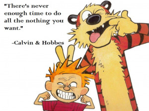 calvin and hobbes quotes on life calvin amp hobbes unleashed