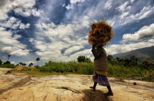 Woman Bringing Back Food For Her Village