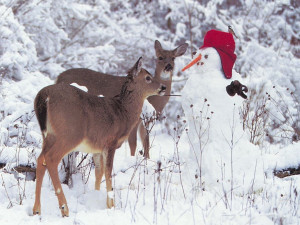 Download Snowmen wallpaper, 'snowman with deers'.