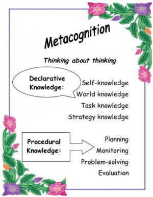 Thinking about Thinking: A Model of Metacognition