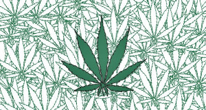 Marijuana Addiction Questions