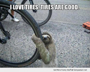 cute baby sloth hugging tire bike bicycle wheel cuddling animal funny ...