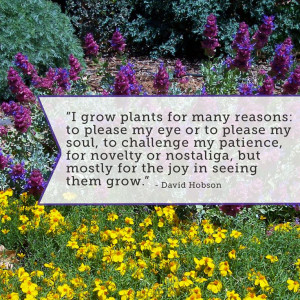 Why do you grow plants?