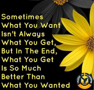 what you want isn't always what you get but in the end what you get ...