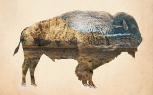 Found on donweir.tumblr.com