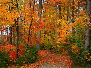 Inspiring Quotes About Autumn