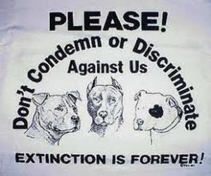 Can Tell My pitty anything....and He wont think im crazy