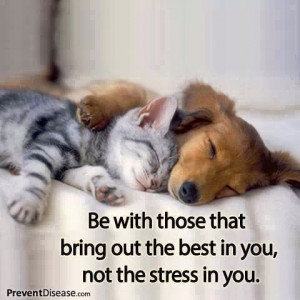 with those that bring out the best in you ! Puppies, Cat, Dogs, Best ...