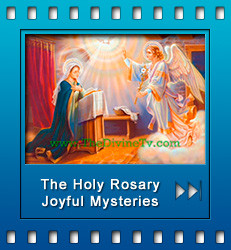 Pray along with the Mysteries Videos