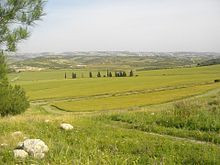 Lovely valley, the Elah Valley