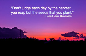 Sunrise #6 Quote - Harvest