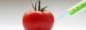 Genetically modified organisms (GMOs): To eat or not to eat?