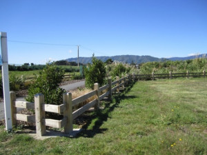 Wide Fence Gate Fences And Exercise Pens