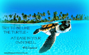 ... Allison Tibbs talks about this quote and the loving yourself process