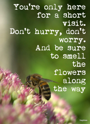 ... sage advice in this busy world!Gardens Words, Gardens Quotes, Business