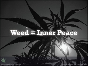 Weed Quotes Stoner Marijuana Collection Chrissie Picture
