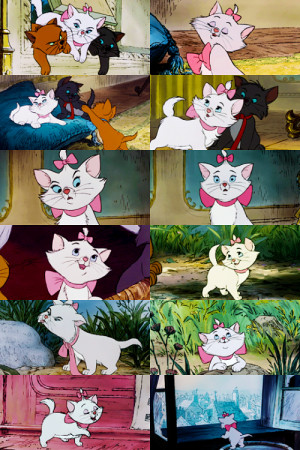 Ladies don’t start fights, but they can finish them!