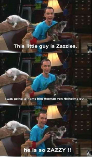 Sheldon Cooper Big Bang Theory