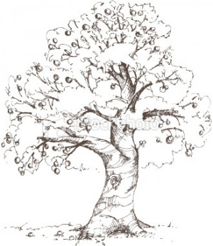Apple Tree SketchArt Illustrations, Apples Trees, Trees Study, Fashion ...